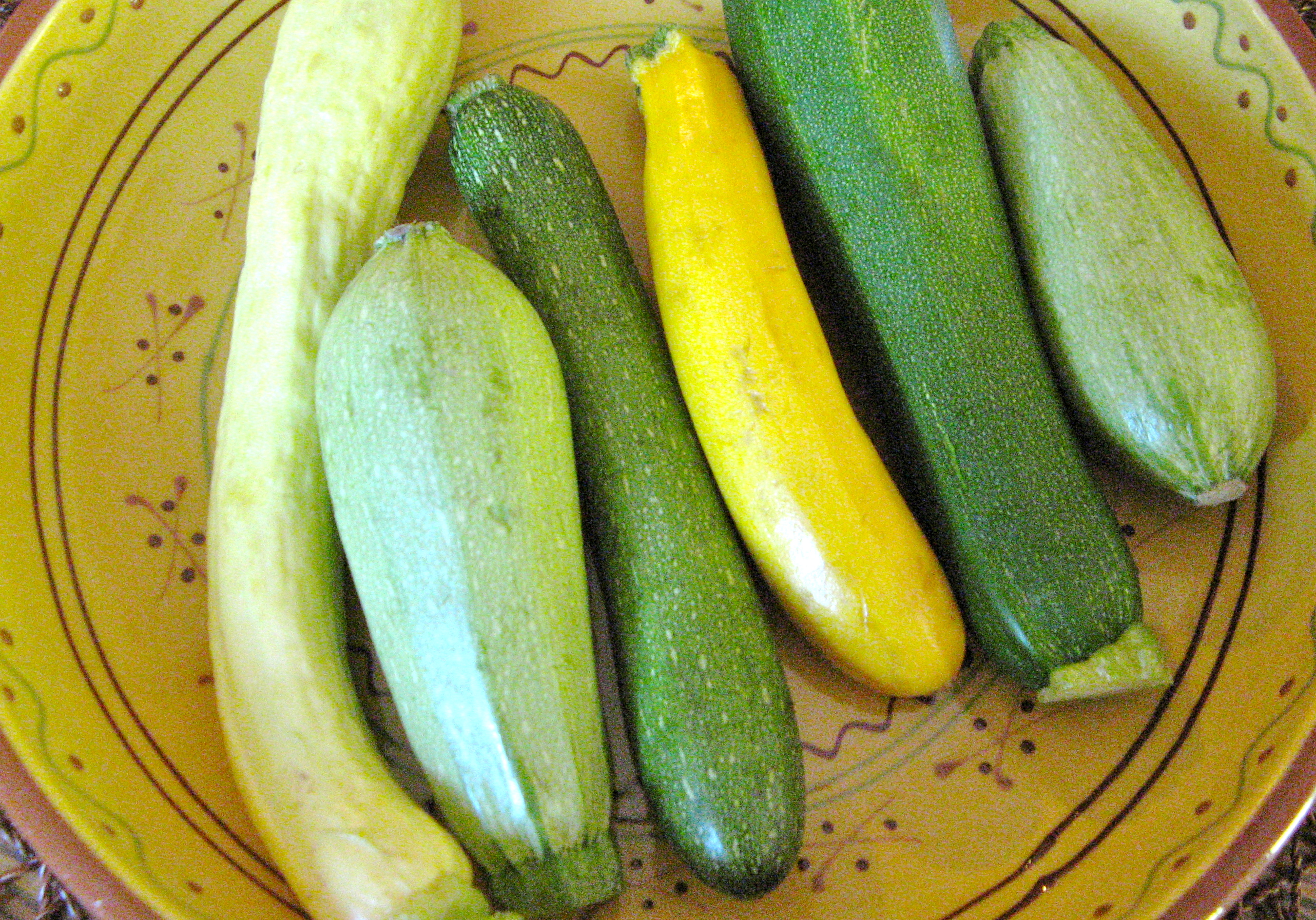 Summer squash varieties
