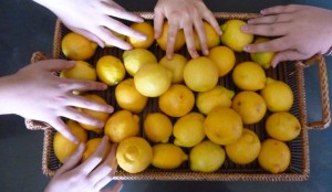 Lemon Hands